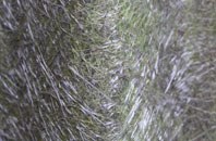 Wybunbury fibreglass roof work